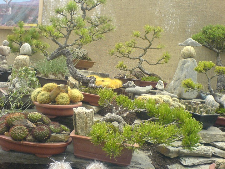 img00114.jpg