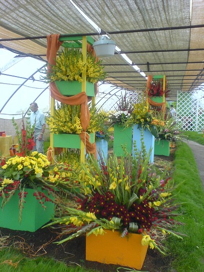 img00142.jpg