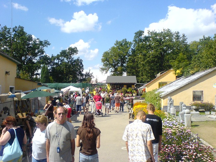 img00164.jpg